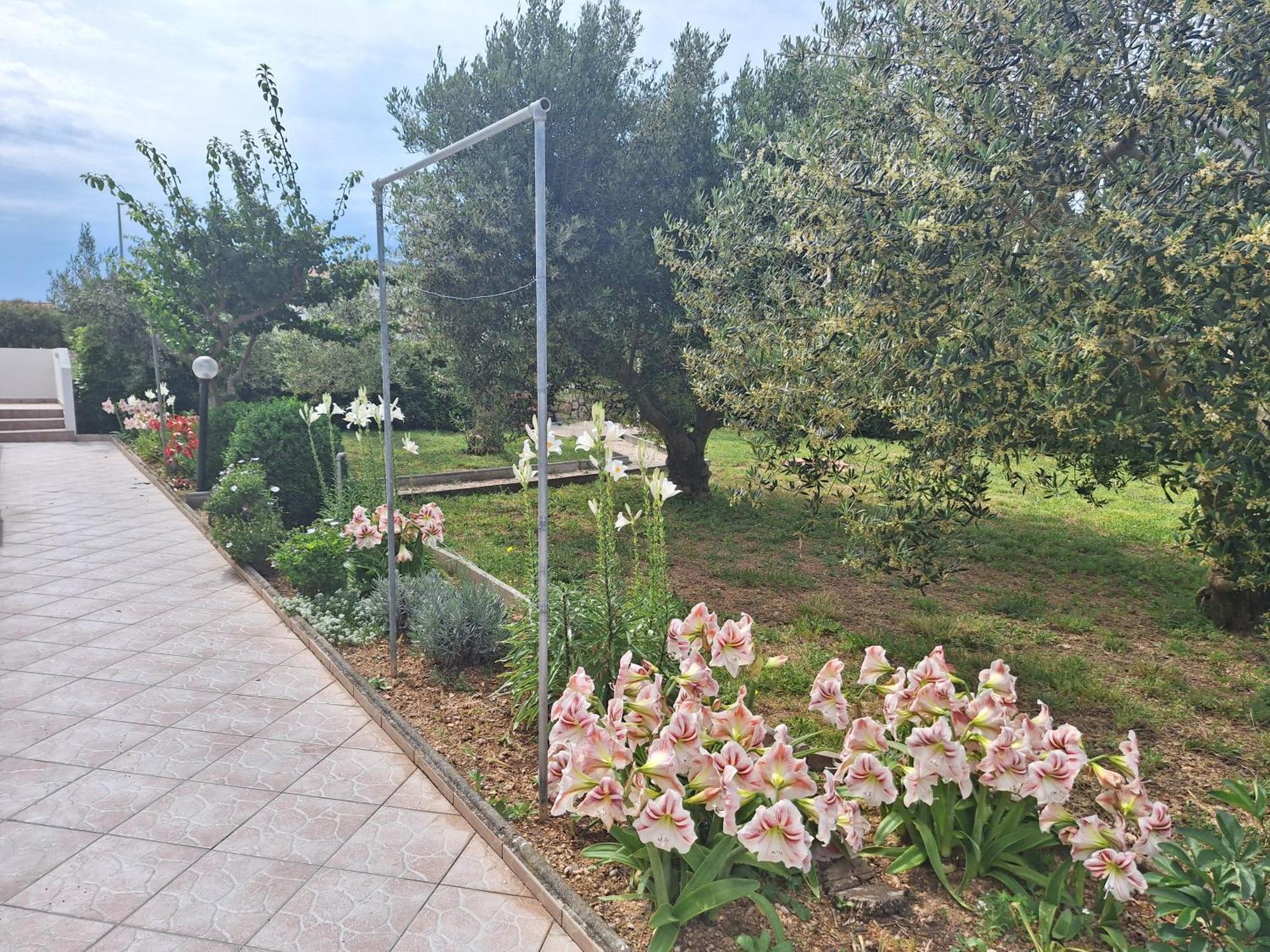 Appartement Donadic I, Caska Novalja